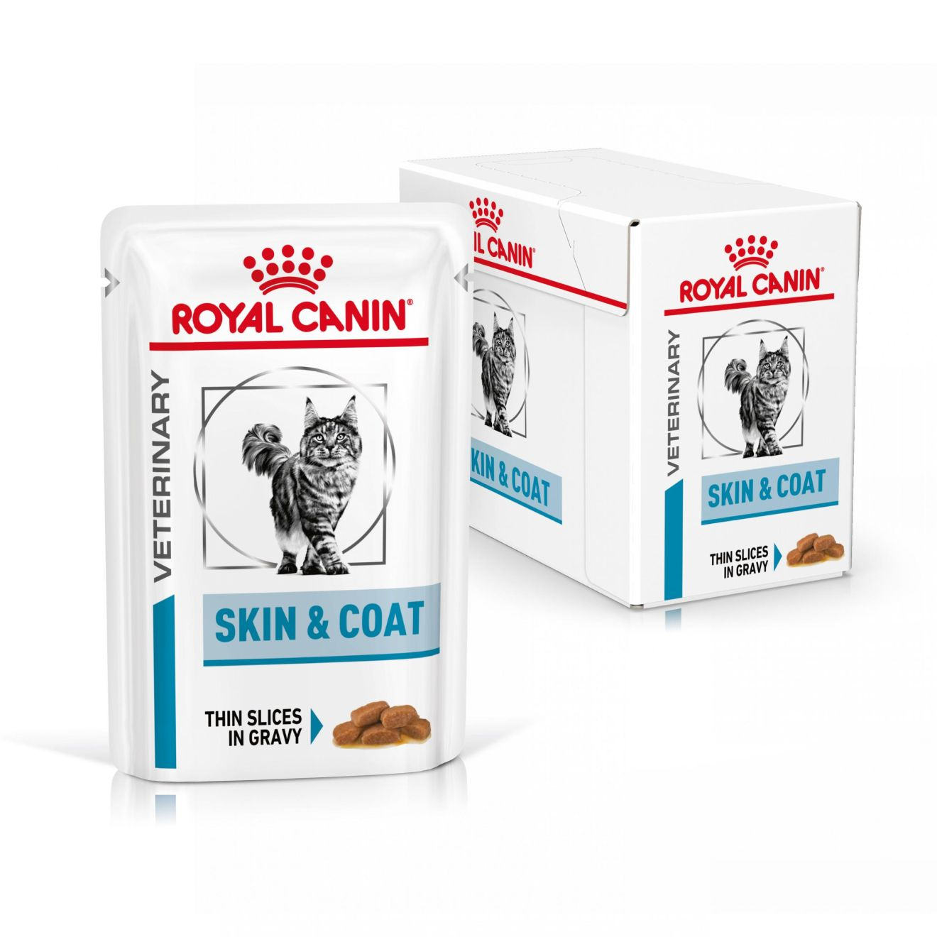 Royal Canin Veterinary Diets Derma Skin & Coat Pouch 12x85g kissan märkäruoka