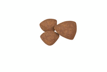 Royal Canin Mini Puppy koiranpennun kuivaruoka