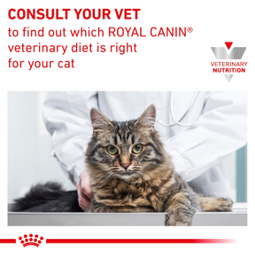 Royal Canin Veterinary Diets Gastrointestinal Hairball kissan kuivaruoka