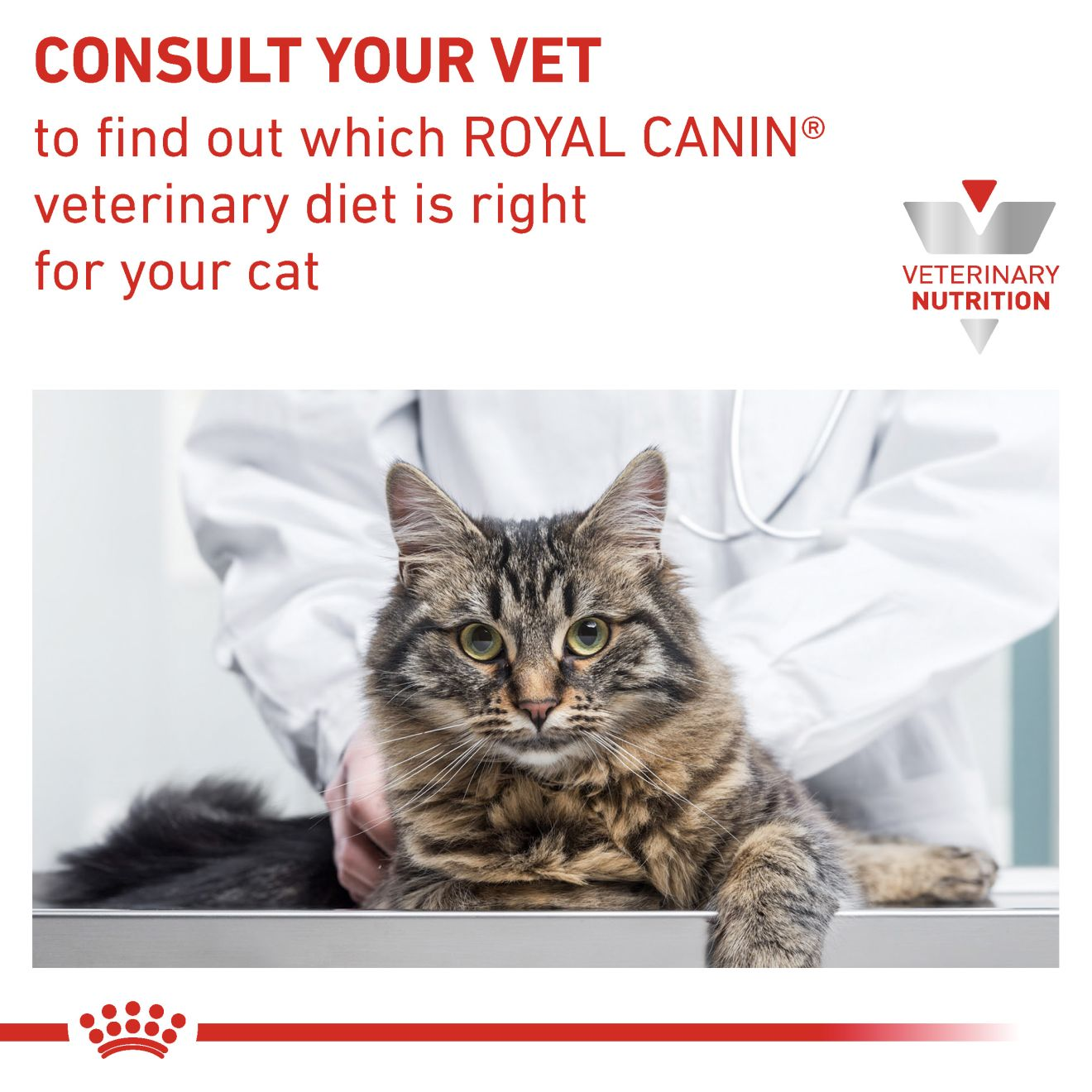 Royal Canin Veterinary Diets Gastrointestinal Moderate Calorie kissan kuivaruoka