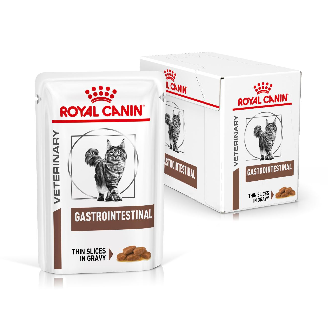 Royal Canin Veterinary Diets Gastrointestinal Thin Slices In Gravy 12x85g kissan märkäruoka