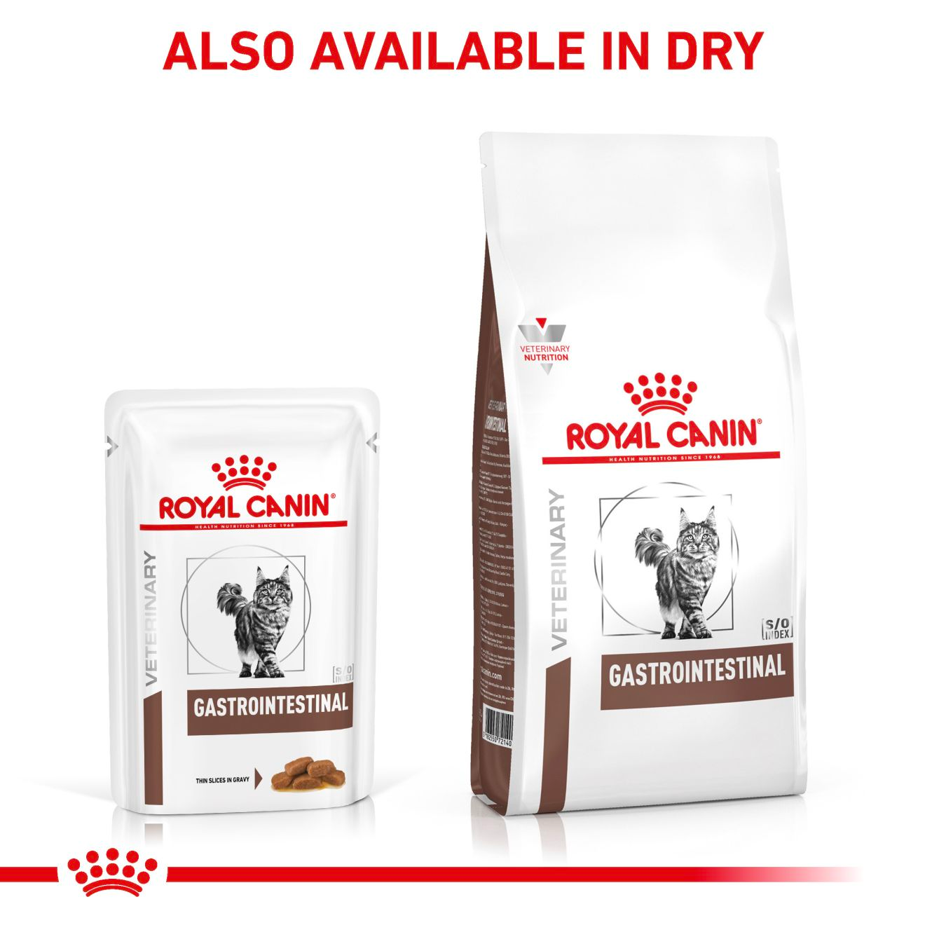 Royal Canin Veterinary Diets Gastrointestinal Thin Slices In Gravy 12x85g kissan märkäruoka