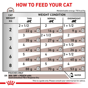 Royal Canin Veterinary Diets Gastrointestinal Fibre Response Morcels in Gravy Pouch 12x85g kissan märkäruoka