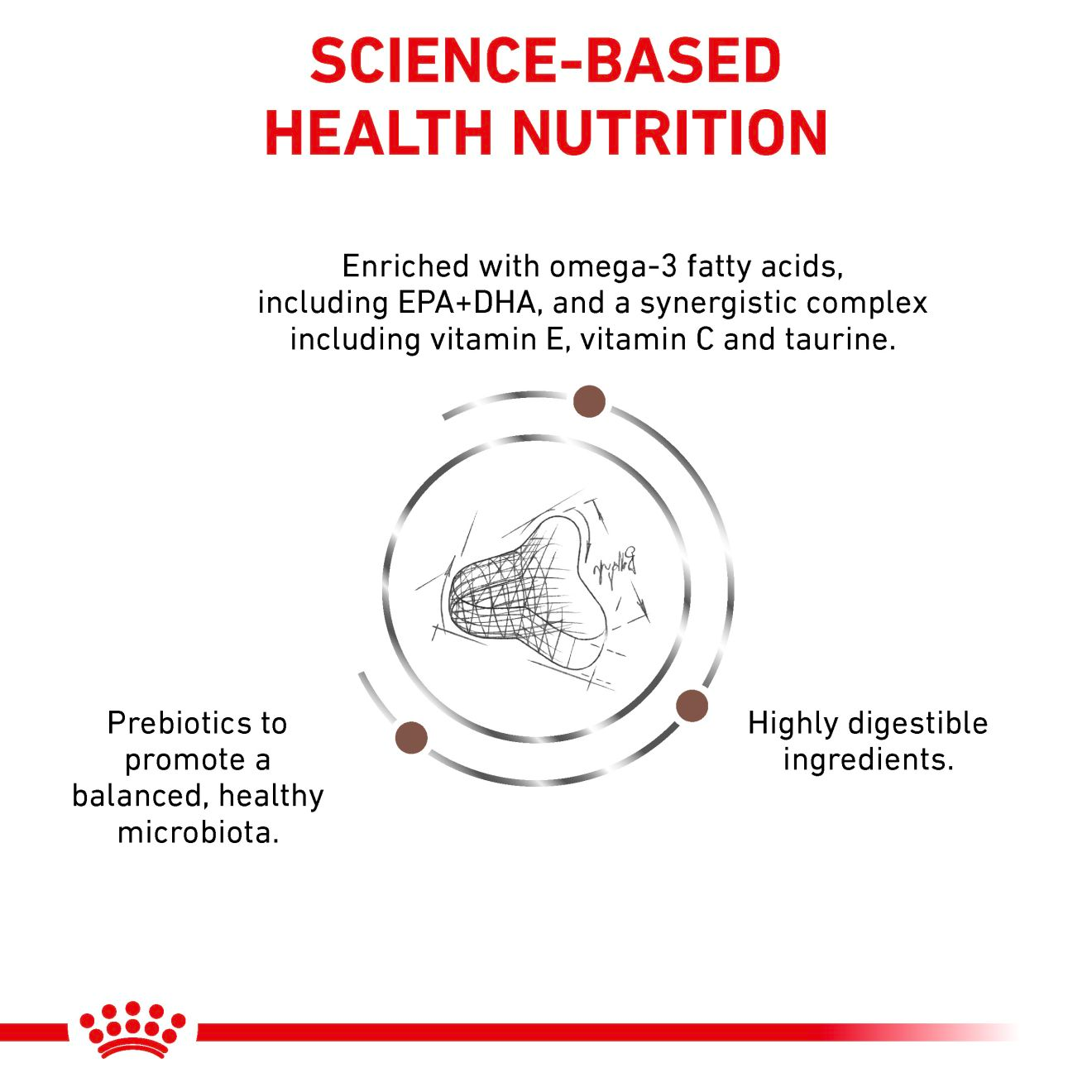 Royal Canin Veterinary Diets Gastrointestinal Fibre Response kissan kuivaruoka