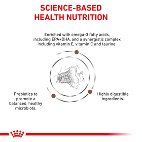 Royal Canin Veterinary Diets Gastrointestinal Fibre Response kissan kuivaruoka