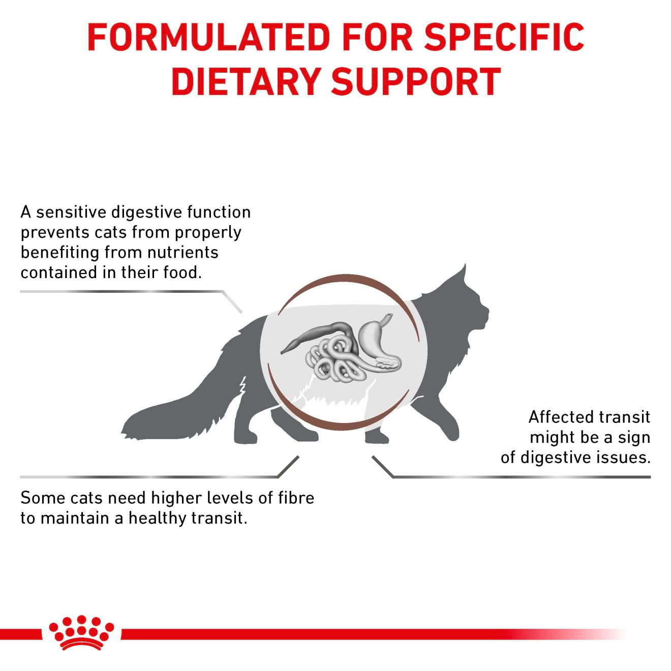 Royal Canin Veterinary Diets Gastrointestinal Fibre Response kissan kuivaruoka