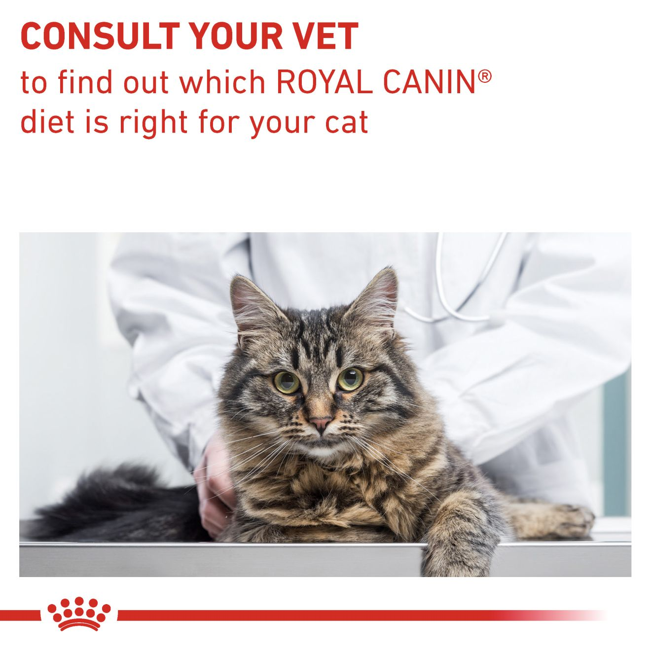 Royal Canin Veterinary Diets Gastrointestinal Fibre Response kissan kuivaruoka