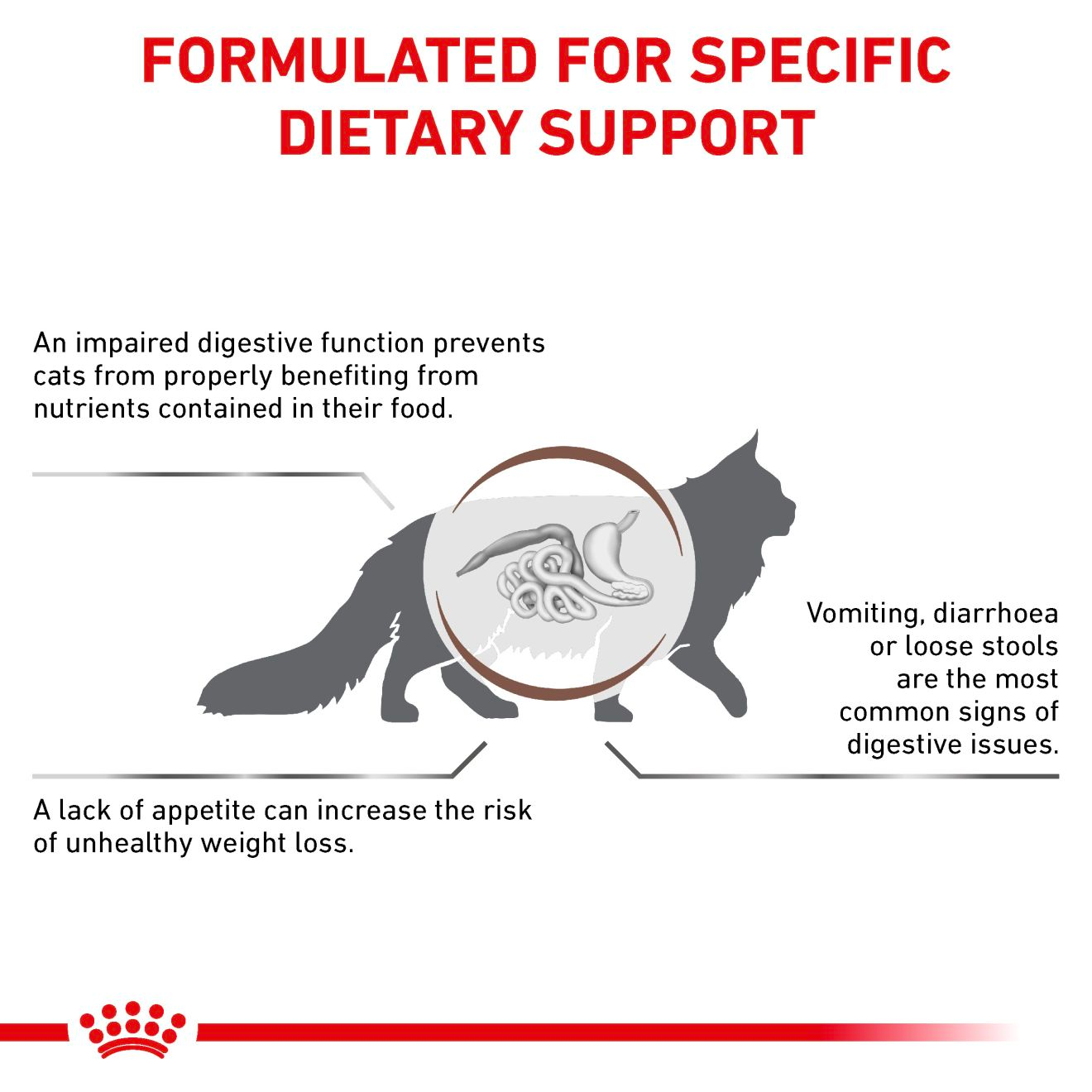 Royal Canin Veterinary Diets Gastrointestinal kissan kuivaruoka