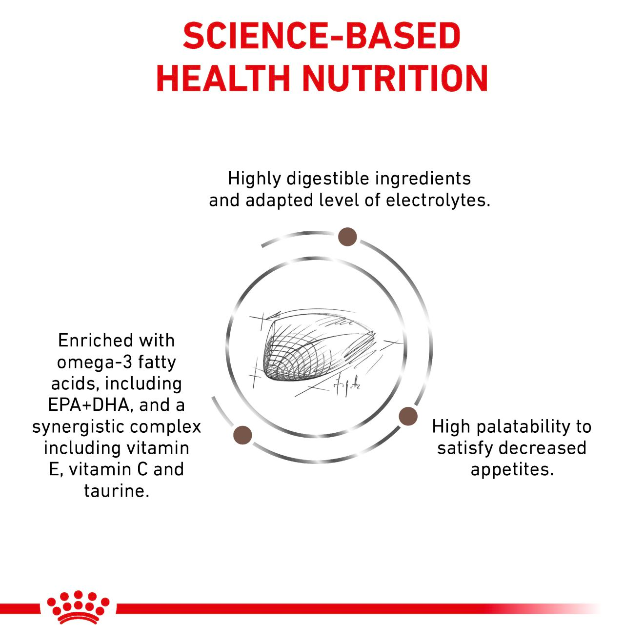 Royal Canin Veterinary Diets Gastrointestinal kissan kuivaruoka