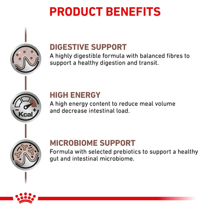 Royal Canin Veterinary Diets Gastrointestinal kissan kuivaruoka