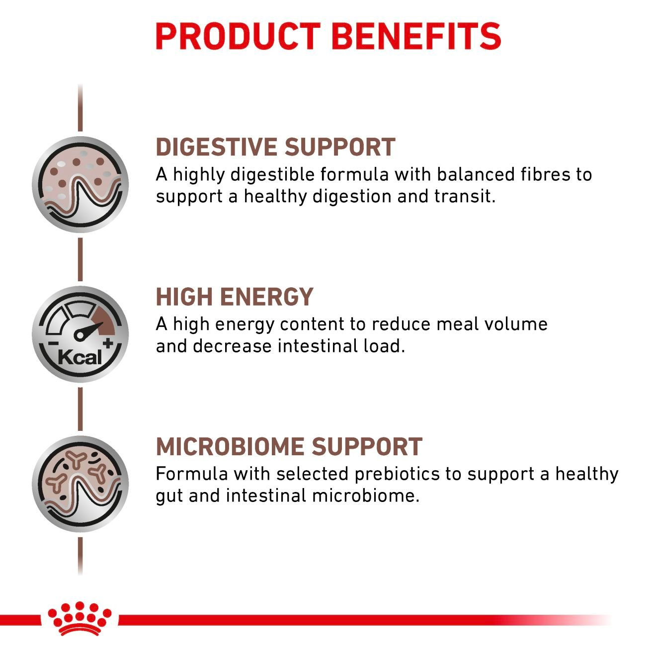 Royal Canin Veterinary Diets Gastrointestinal kissan kuivaruoka