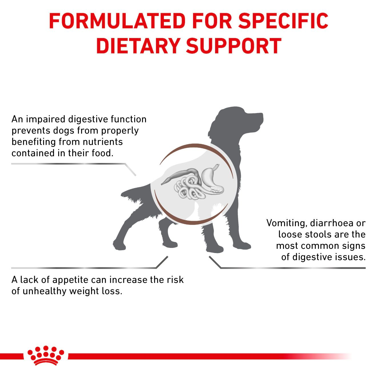 Royal Canin Veterinary Diets Gastrointestinal koiran kuivaruoka