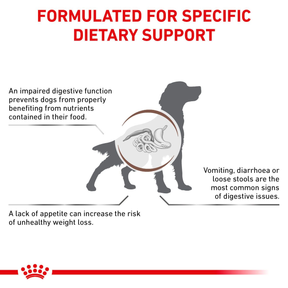 Royal Canin Veterinary Diets Gastrointestinal koiran kuivaruoka