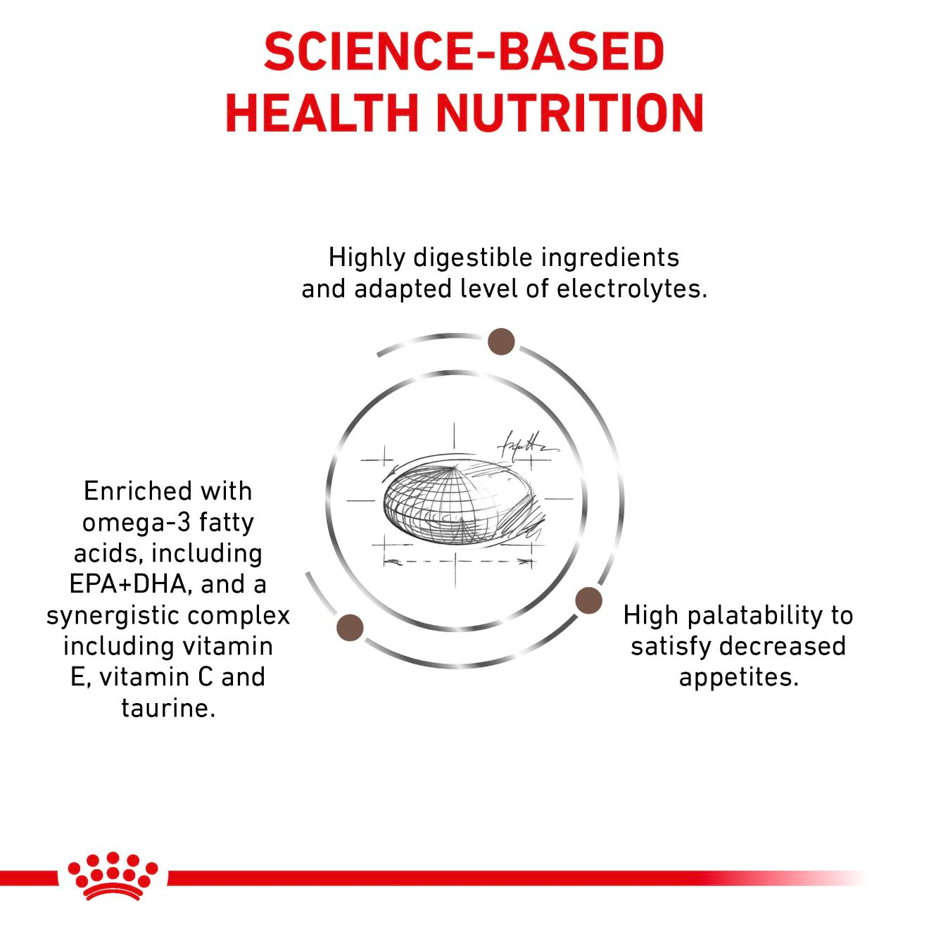 Royal Canin Veterinary Diets Gastrointestinal koiran kuivaruoka