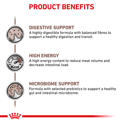 Royal Canin Veterinary Diets Gastrointestinal koiran kuivaruoka