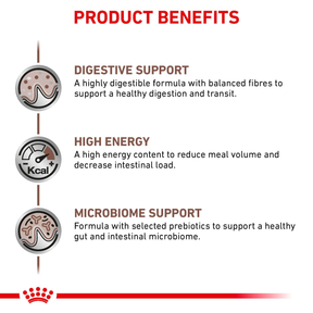 Royal Canin Veterinary Diets Gastrointestinal koiran kuivaruoka