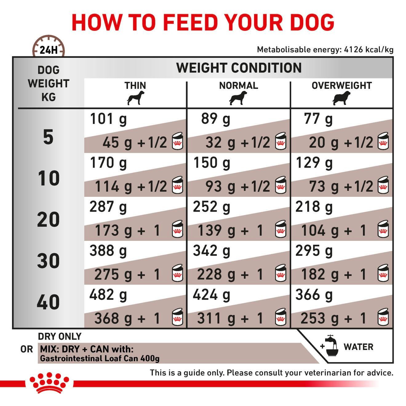 Royal Canin Veterinary Diets Gastrointestinal koiran kuivaruoka