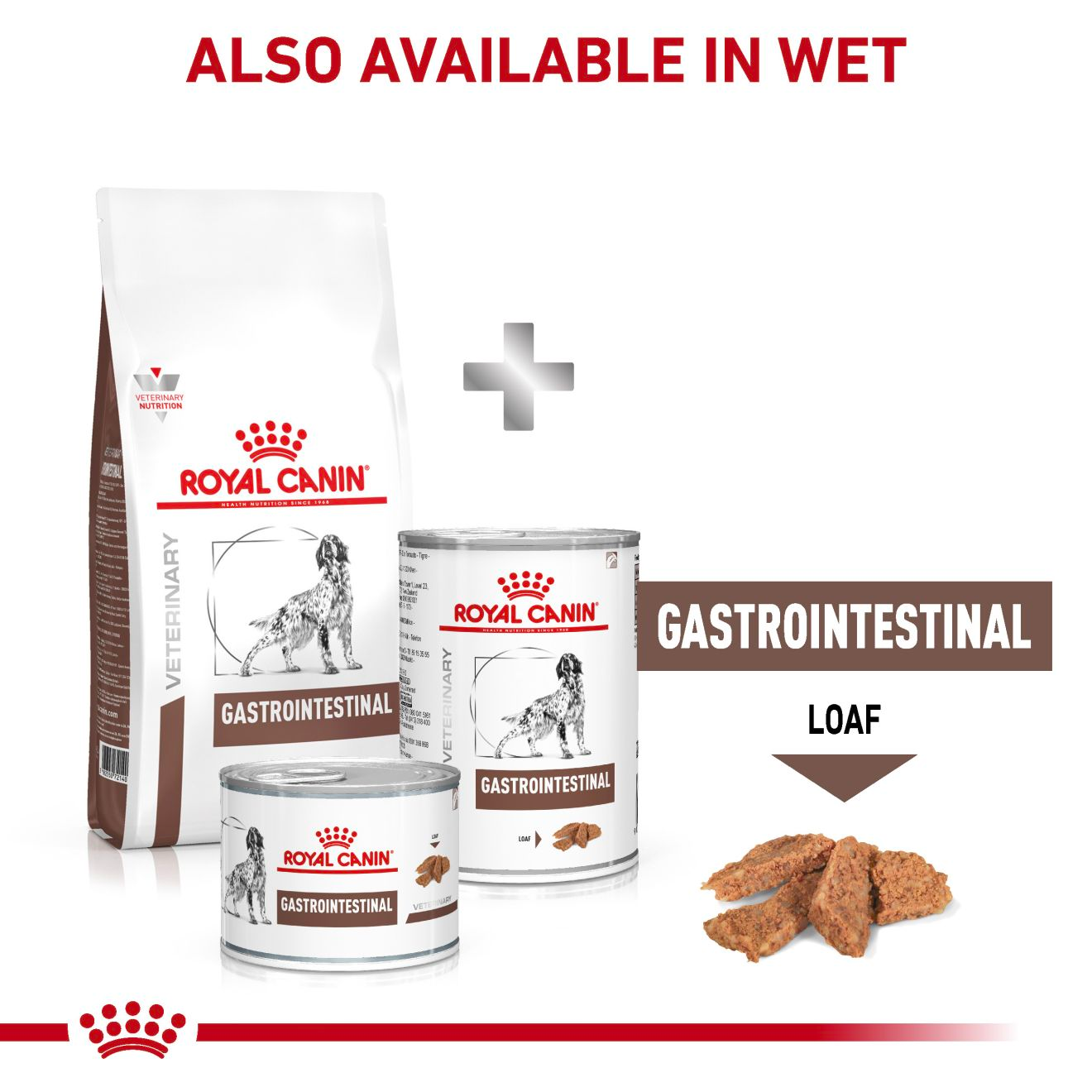 Royal Canin Veterinary Diets Gastrointestinal koiran kuivaruoka