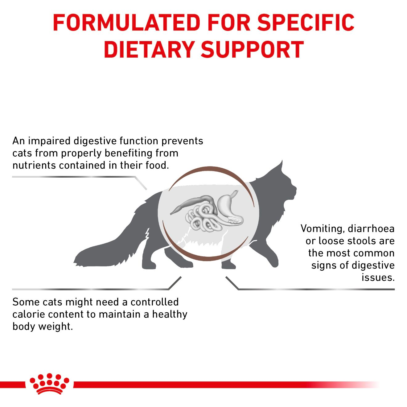 Royal Canin Veterinary Diets Gastrointestinal Moderate Calorie kissan kuivaruoka