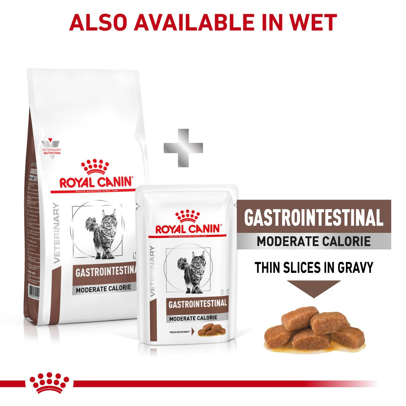 Royal Canin Veterinary Diets Gastrointestinal Moderate Calorie kissan kuivaruoka