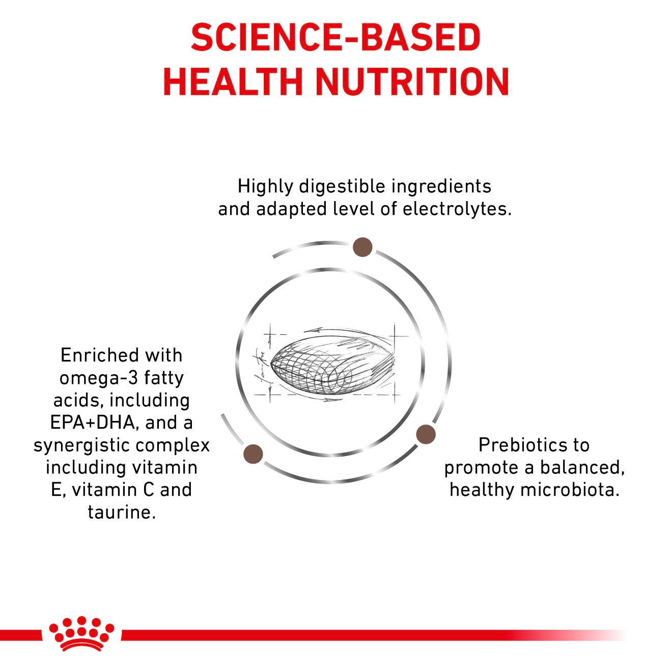 Royal Canin Veterinary Diets Gastrointestinal Hairball kissan kuivaruoka