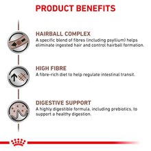 Royal Canin Veterinary Diets Gastrointestinal Hairball kissan kuivaruoka