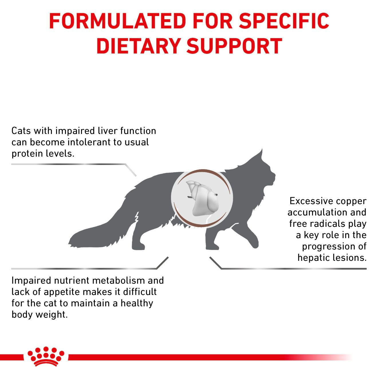 Royal Canin Veterinary Diets Gastrointestinal Hepatic kissan kuivaruoka