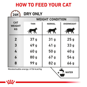 Royal Canin Veterinary Diets Gastrointestinal Hepatic kissan kuivaruoka