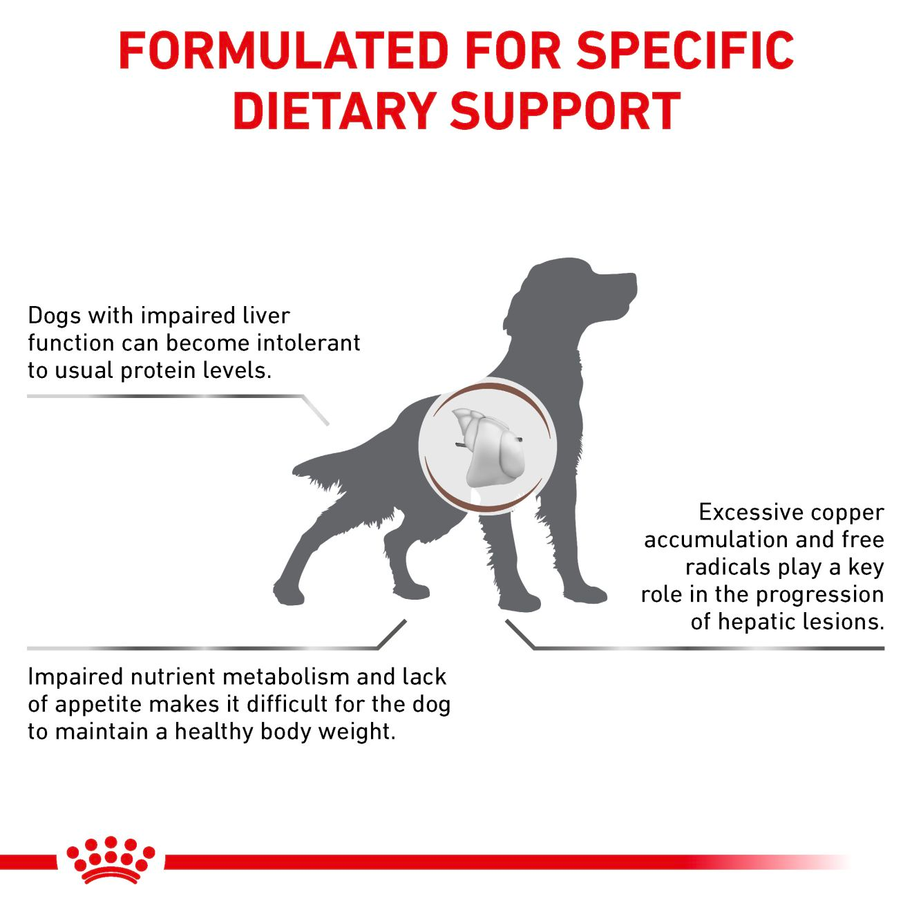 Royal Canin Veterinary Diets Gastrointestinal Hepatic koiran kuivaruoka