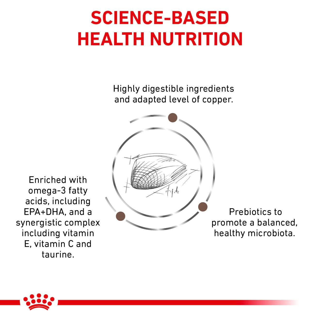 Royal Canin Veterinary Diets Gastrointestinal Hepatic koiran kuivaruoka