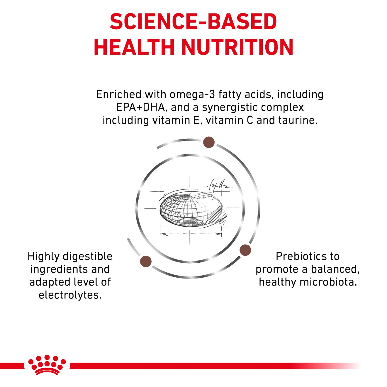 Royal Canin Veterinary Diets Gastrointestinal High Fibre koiran kuivaruoka