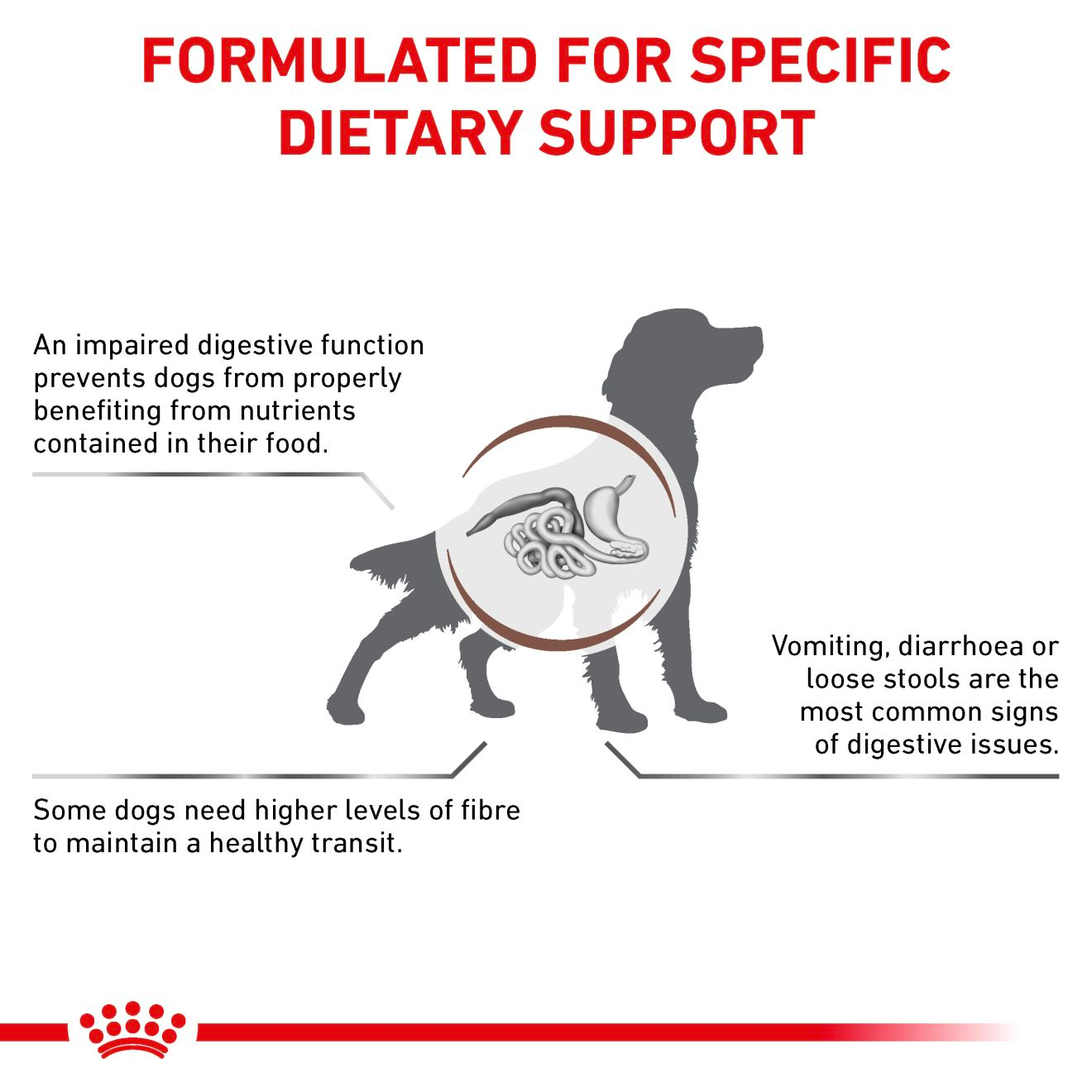 Royal Canin Veterinary Diets Gastrointestinal High Fibre Loaf Can koiran märkäruoka