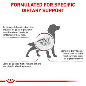 Royal Canin Veterinary Diets Gastrointestinal High Fibre Loaf Can koiran märkäruoka