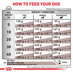 Royal Canin Veterinary Diets Gastrointestinal High Fibre koiran kuivaruoka