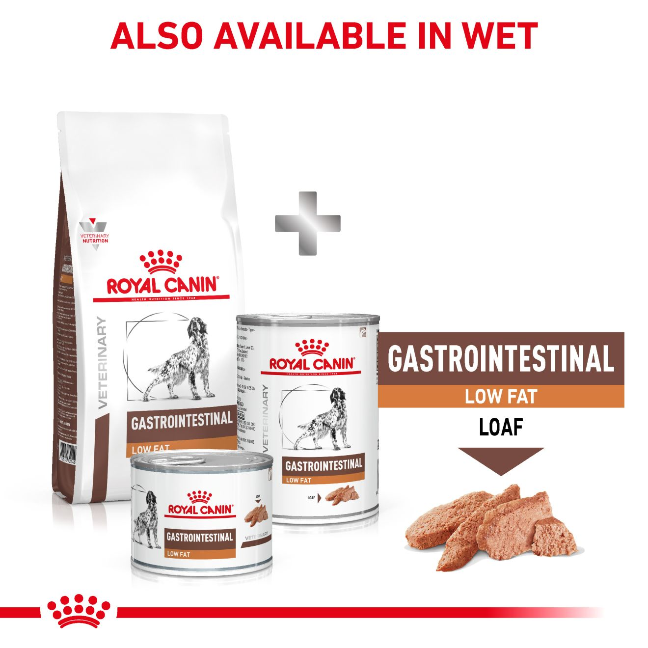 Royal Canin Veterinary Diets Gastrointestinal Low Fat koiran kuivaruoka