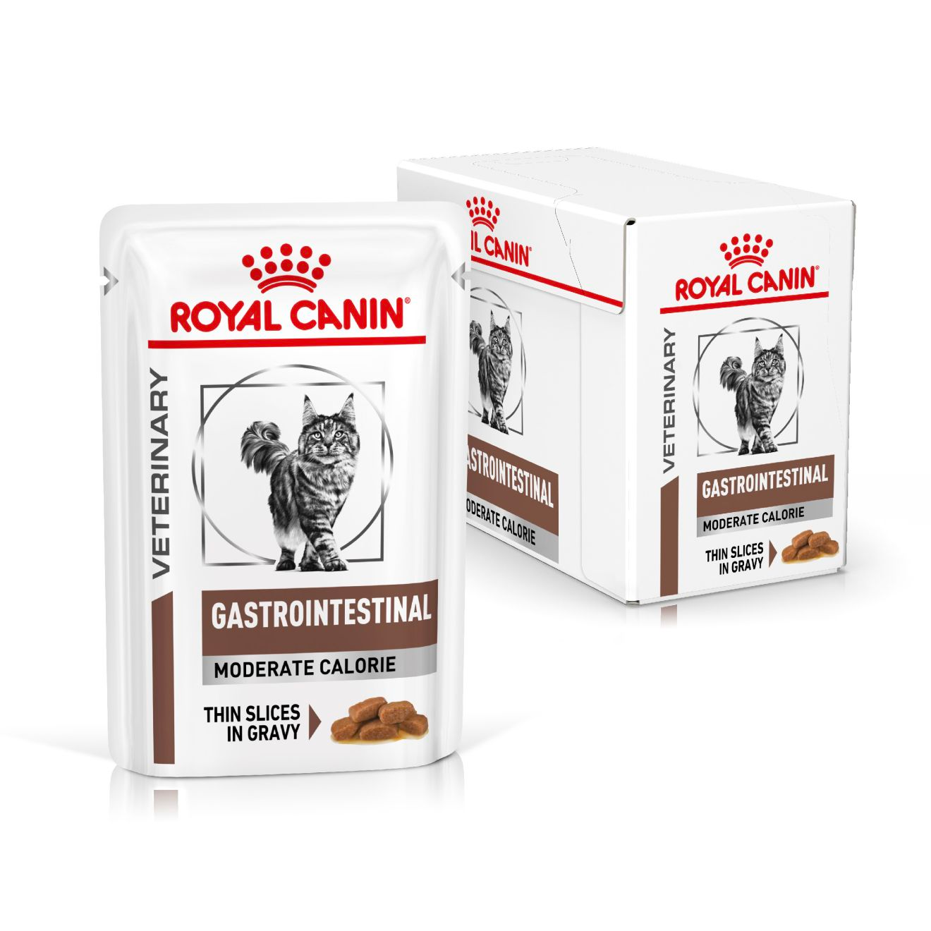 Royal Canin Veterinary Diets Gastrointestinal Moderate Calorie Slices In Gravy 12x85g kissan märkäruoka