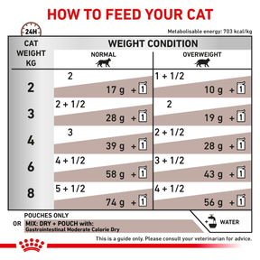 Royal Canin Veterinary Diets Gastrointestinal Moderate Calorie Slices In Gravy 12x85g kissan märkäruoka