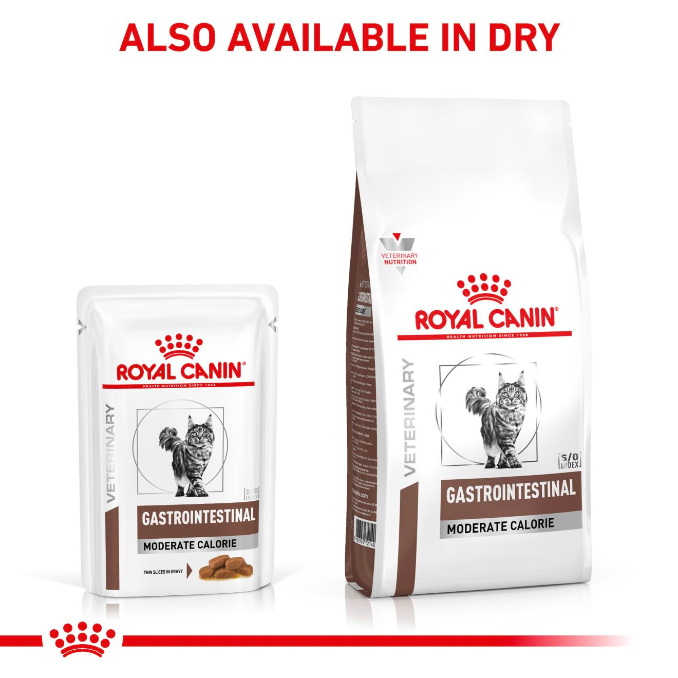 Royal Canin Veterinary Diets Gastrointestinal Moderate Calorie Slices In Gravy 12x85g kissan märkäruoka