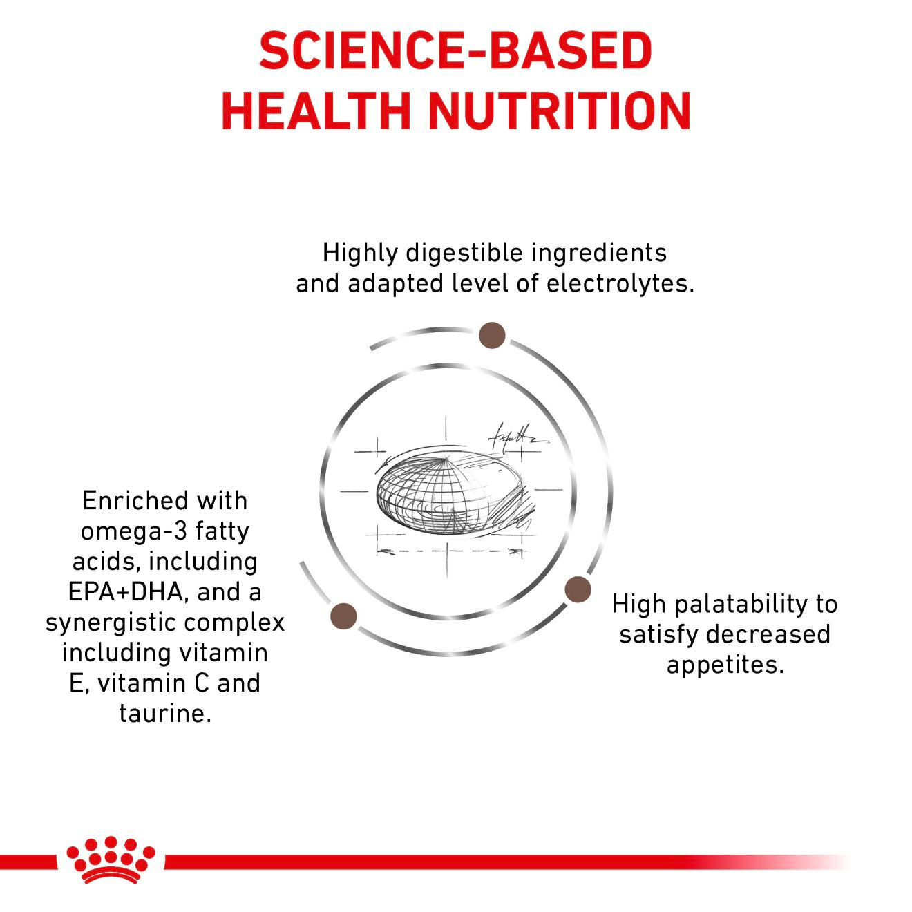 Royal Canin Veterinary Diets Gastrointestinal Moderate Calorie koiran kuivaruoka