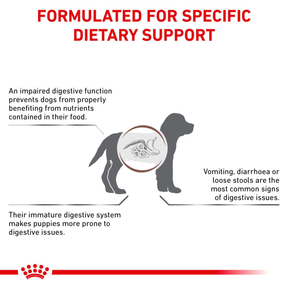 Royal Canin Veterinary Diets Gastrointestinal Puppy koiran kuivaruoka