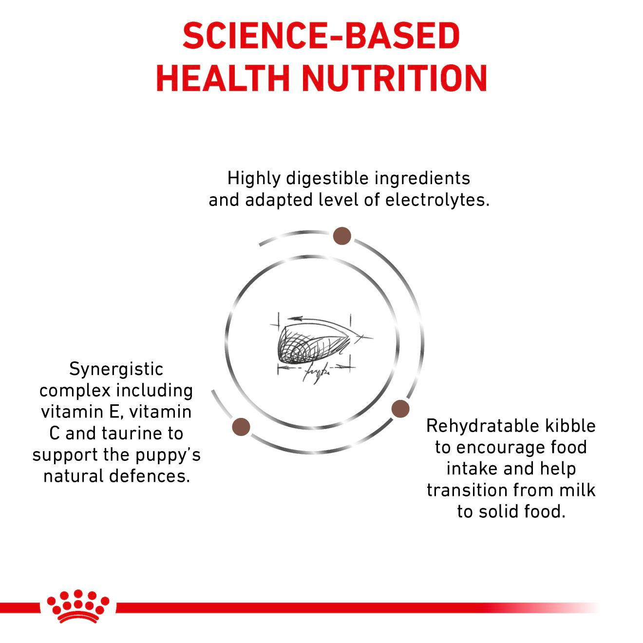 Royal Canin Veterinary Diets Gastrointestinal Puppy koiran kuivaruoka