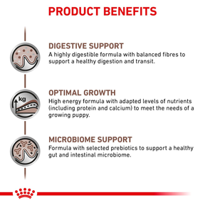 Royal Canin Veterinary Diets Gastrointestinal Puppy koiran kuivaruoka