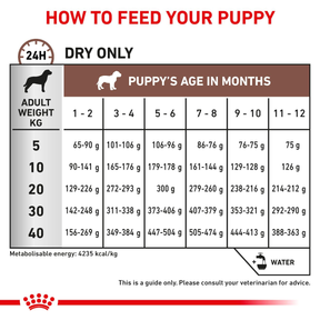 Royal Canin Veterinary Diets Gastrointestinal Puppy koiran kuivaruoka