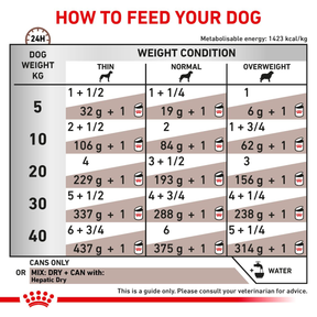 Royal Canin Veterinary Diets Gastrointestinal Hepatic Loaf Can 420g koiran märkäruoka