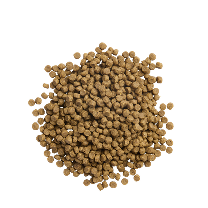 PURINA® PRO PLAN® Expert Care Nutrition - Acti-Protect™ Kitten.