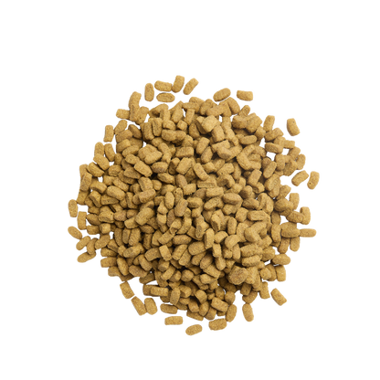 PURINA® PRO PLAN® Expert Care Nutrition - Acti-Protect™ Adult Sterilised Salmon.