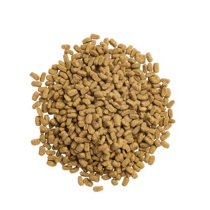 PURINA® PRO PLAN® Expert Care Nutrition - Acti-Protect™ Adult Sterilised Turkey.